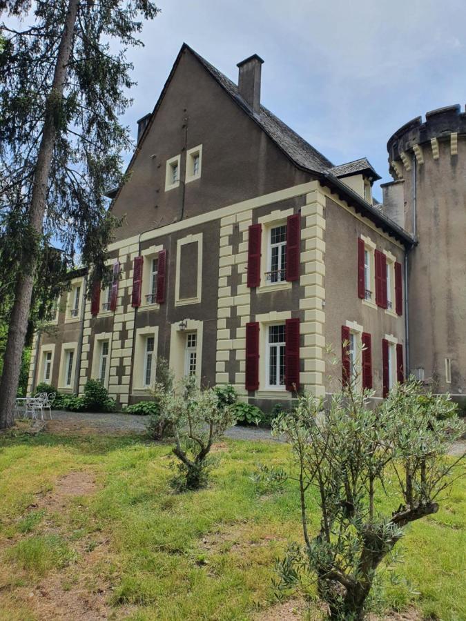 Chateau De Viviez Bagian luar foto